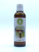 Ořešák královský